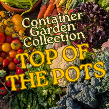 Top of the Pots Gift Collection | Container Garden Seeds | Heirloom Eco-friendly Christmas Present