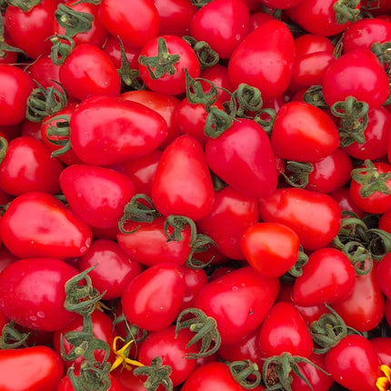 Heritage Sweetheart Tomato Rare Seeds UK